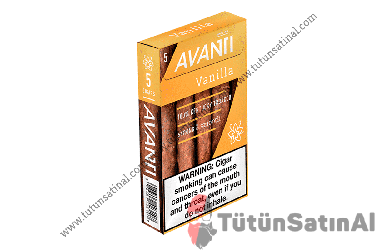 Avanti Vanilla 1 Avanti Vanilla