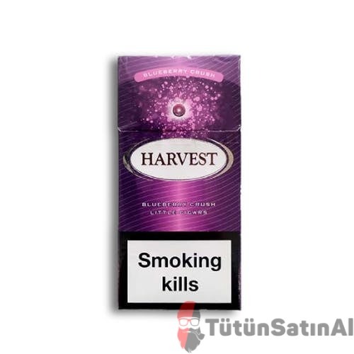 Harvest Blueberry Crush Little (Yaban Mersinli) 1 Harvest Blueberry Crush Little (Yaban Mersinli)