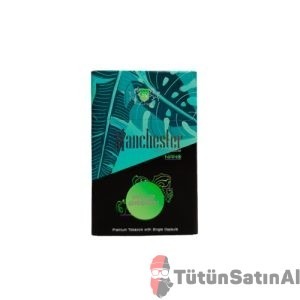 manchester nano wild green tutunsatinal