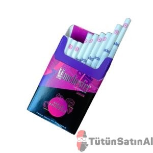 manchester nano wild purple slim sigara bogurtlen aromali tutunsatinal galeri