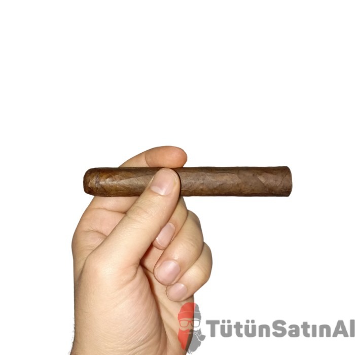 Mj Frias Cigars Robusto (5x50) 1 Mj Frias Cigars