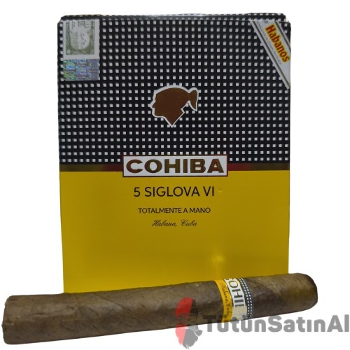 Cohiba Siglo VI Totalmente A Mano Gift Pack (MUADİL ÜRÜN) 1 Cohiba Siglo VI Totalmente A Mano