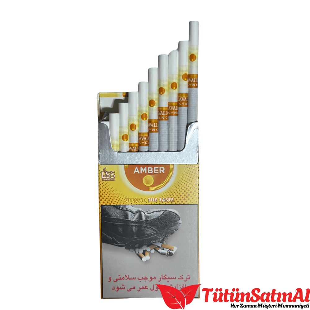 Cavallo Sync amber 2 Cavallo Sync amber - Görsel 2