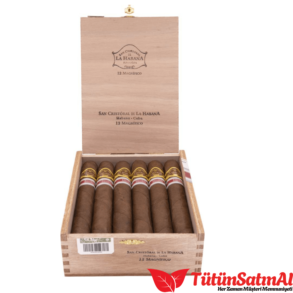 San Cristobal Magnifico Ex. Andorra 1 San Cristobal Magnifico Ex. Andorra